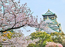 开云登录入口-辽足球员纳税额被更改为0元 律师:需司法介入查清